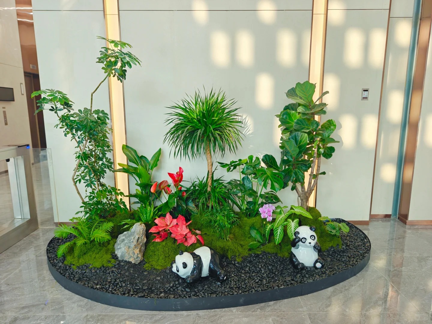 专业花卉出租在宁波江北，为您打造绿色天地